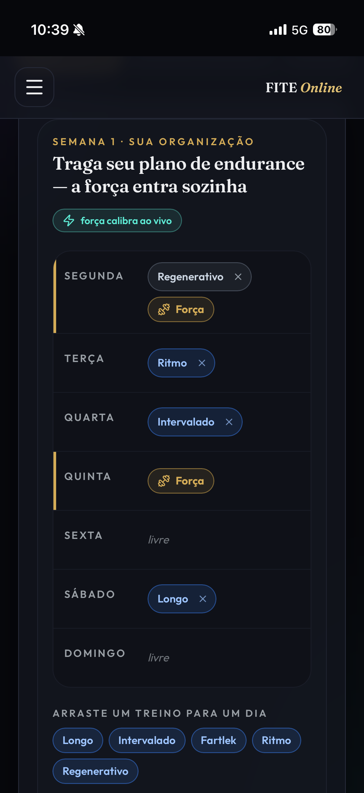Tela do app FITE mostrando a organização semanal com dias de força encaixados na planilha de endurance