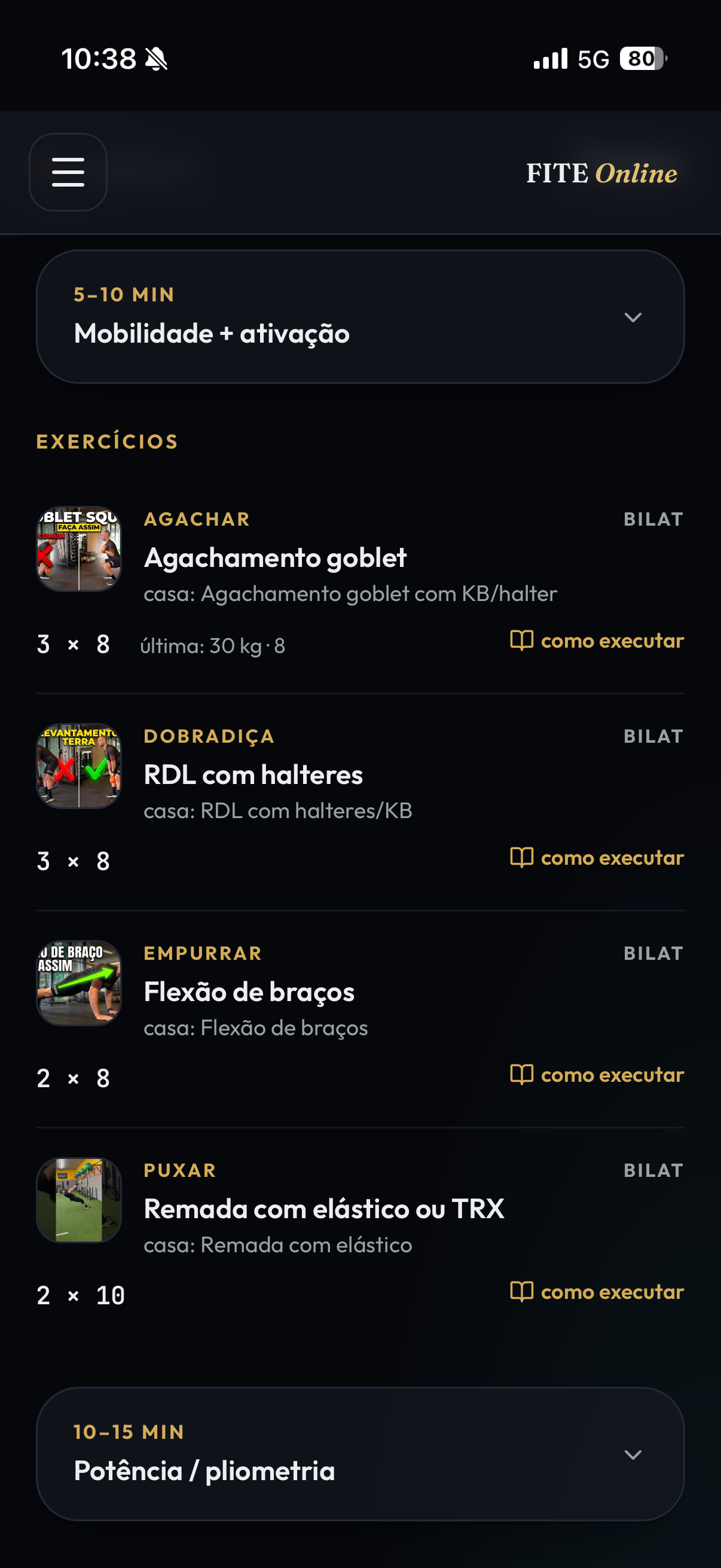 Tela do app FITE mostrando a biblioteca de exercícios com vídeos de execução